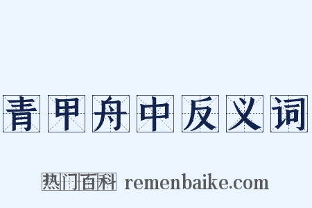 青甲舟中反义词是什么意思的图片